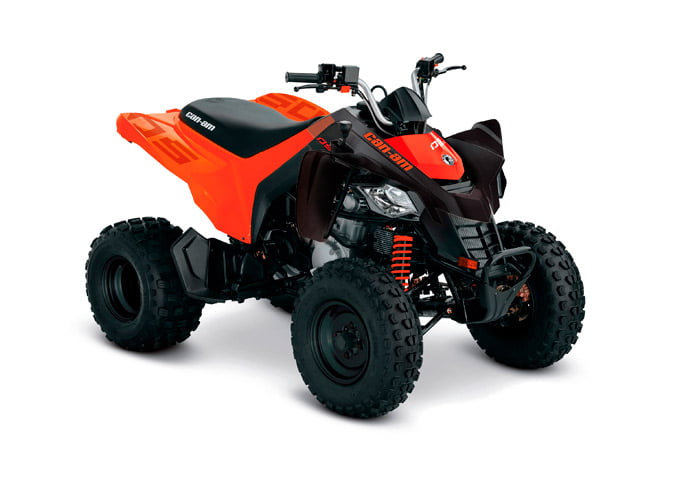 CanAm DS 250
